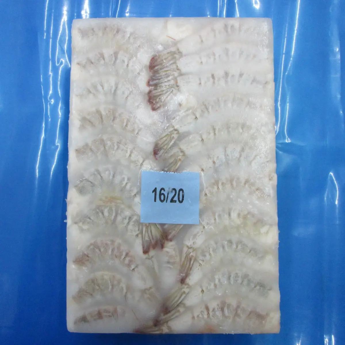 IQF Black Tiger Shrimp